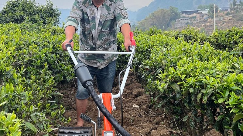 粮食烘干机定制方案：从需求出发，打造高效烘干体验