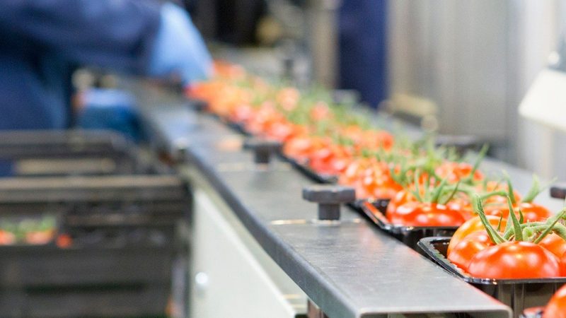 小型家用鸡饲料颗粒机：揭秘其工作原理与选购要点